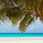 Sujuku island: an emerging tourist destination Sujuku island: an emerging tourist destination