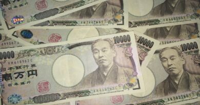 The Yen Carry Trade: A Guide to Interest Rates, Leverage and Currency Risk